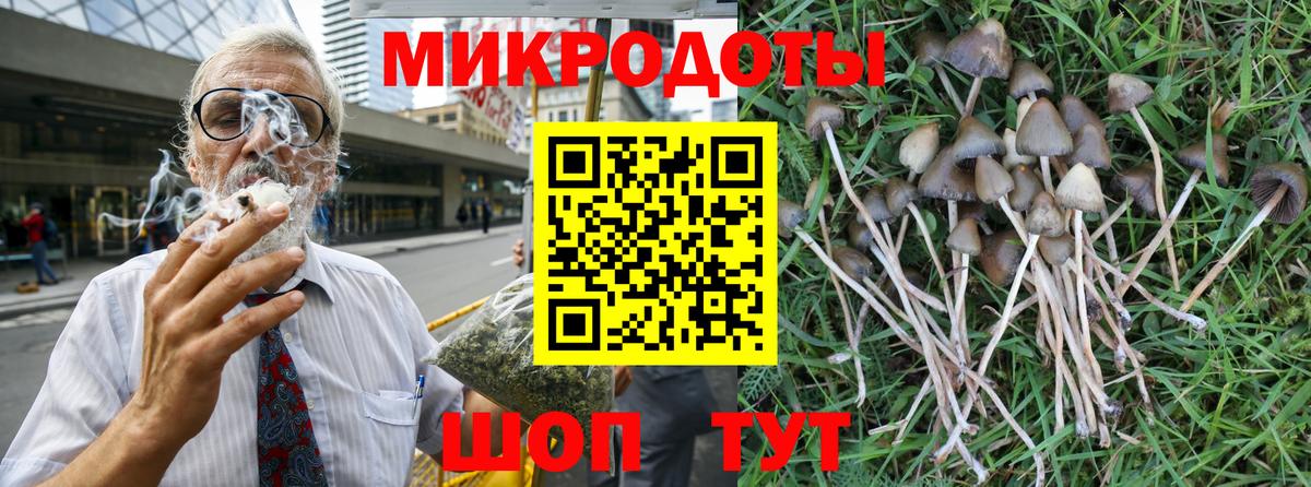 Галлюциногенные грибы MAGIC MUSHROOMS  Вход с VPN  Псилоцибиновые грибы прущие грибы  Арзамас 